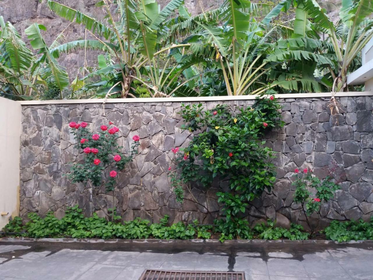 Ribeira Grande Country House Cha de Arroz Екстериор снимка