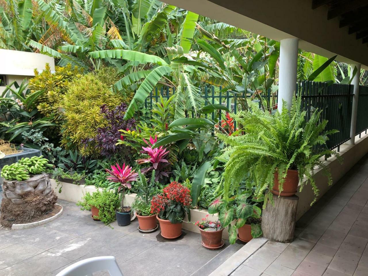 Ribeira Grande Country House Cha de Arroz Екстериор снимка
