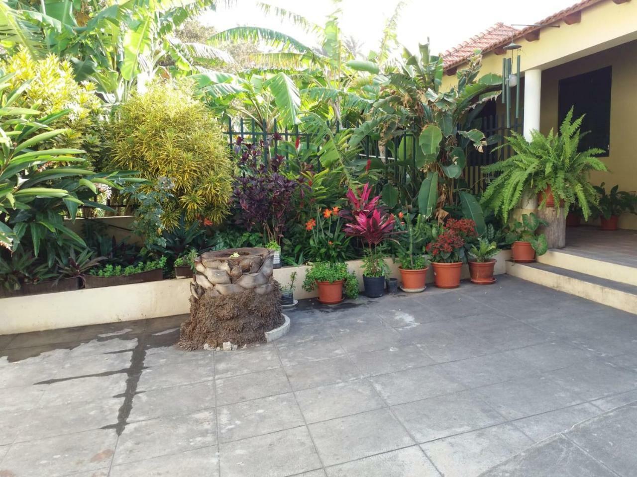 Ribeira Grande Country House Cha de Arroz Екстериор снимка