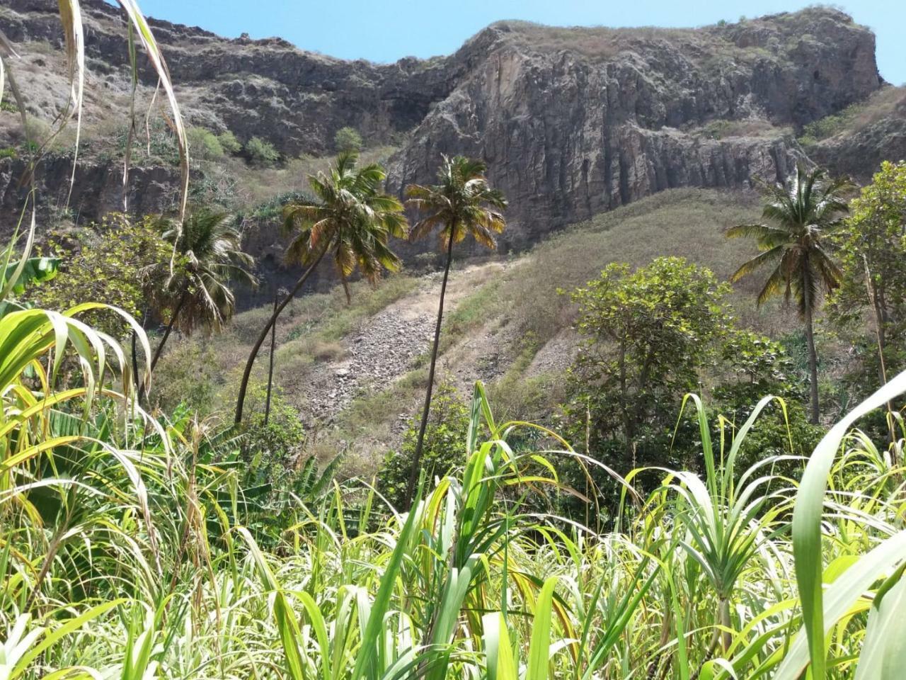 Ribeira Grande Country House Cha de Arroz Екстериор снимка
