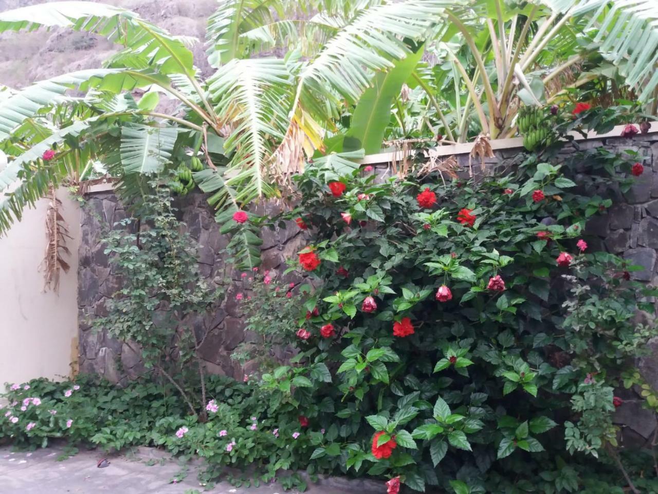 Ribeira Grande Country House Cha de Arroz Екстериор снимка